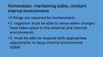 Homeostasis- maintaining stable, constant internal environments