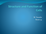 Structure and Function of Cells