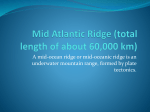 Mid Atlantic Ridge (total length of about 60000 km)