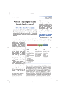 Calcium, a signaling molecule in the endoplasmic reticulum?