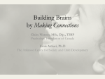 Building Brains by Making Connections