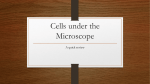 Cells under the Microscope