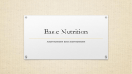 Basic Nutrition - Monhegan Wellness