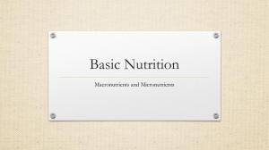 Basic Nutrition - Monhegan Wellness