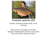 Invasive species