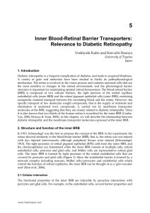 Inner Blood-Retinal Barrier Transporters: Relevance to