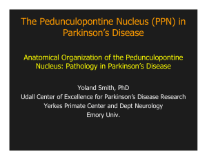 The Pedunculopontine Nucleus (PPN) in Parkinson`s Disease