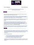 Circuit Challenges Electrical Engineer