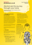 Alcohol and its journey through your body