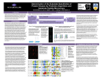 Determination of the Substrate Specificities of Protein Kinases by