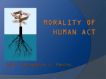 Human Act - aquireligion