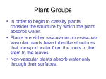 Plant Groups