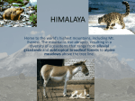 himalaya - WordPress.com
