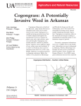 Cogongrass: A Potentially Invasive Weed in Arkansas