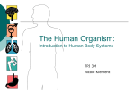The Human Organism: Introduction to Human Body - Nicole