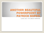 ANOTHER BEAUTIFUL POWERPOINT BY PATRICK SOPKO.