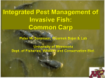 Integrated Pest Management of Invasive Fish: Common Carp