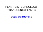 plant biotechnology transgenic plants