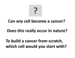 Can any cell become a cancer?