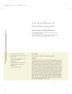 The Host Defense of Drosophila melanogaster