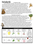 Plant Reading Guide - Tea Area School District