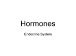 Hormones - klakulakbiology