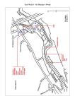 Tree Walk 3 – Dr Mackays Wood