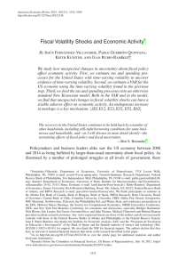 Fiscal Volatility Shocks and Economic Activity