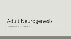 Neurogenesis