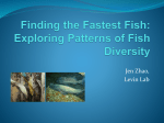 Finding the Fastest Fish: Exploring Patterns of
