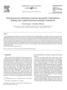 Neural processes underlying conscious perception