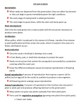 standards 5 and 6