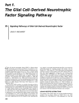 The Glial Cell–Derived Neurotrophic Factor Signaling Pathway