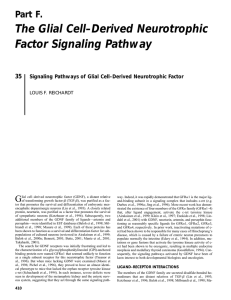 The Glial Cell–Derived Neurotrophic Factor Signaling Pathway