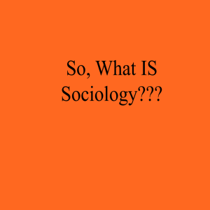 what sociologists call social structure