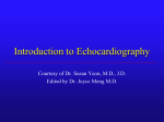 Introduction to echocardiography