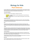 Plant Defenses - Barton 4th Grade