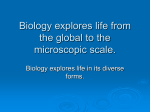 Biology explores life from the global to the microscopic scale.