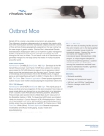 Outbred Mice - Charles River Laboratories
