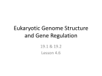 Chromatin Structure and Gene Regulation