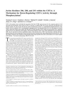 Serine Residues 286, 288, and 293 within the CIITA: A