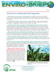 Nutrient Use and Beneficial Soil Organisms