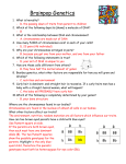 Brainpop Genetics questions Weinmann ANSWERS