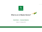What is an L3 Master Device?