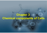 Chapter 3 Chemical components of Cells