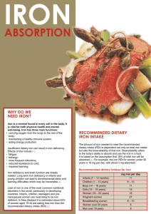 ABSORPTION - Beef and Lamb New Zealand