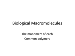 Biological Macromolecules