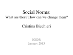 Social Norms: