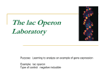 Discussion of control of the lac operon and mutational analysis