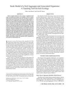 Scale Model of a Soil Aggregate and Associated Organisms: A